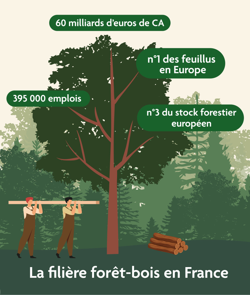 Vers une planification de la filière forêt-bois