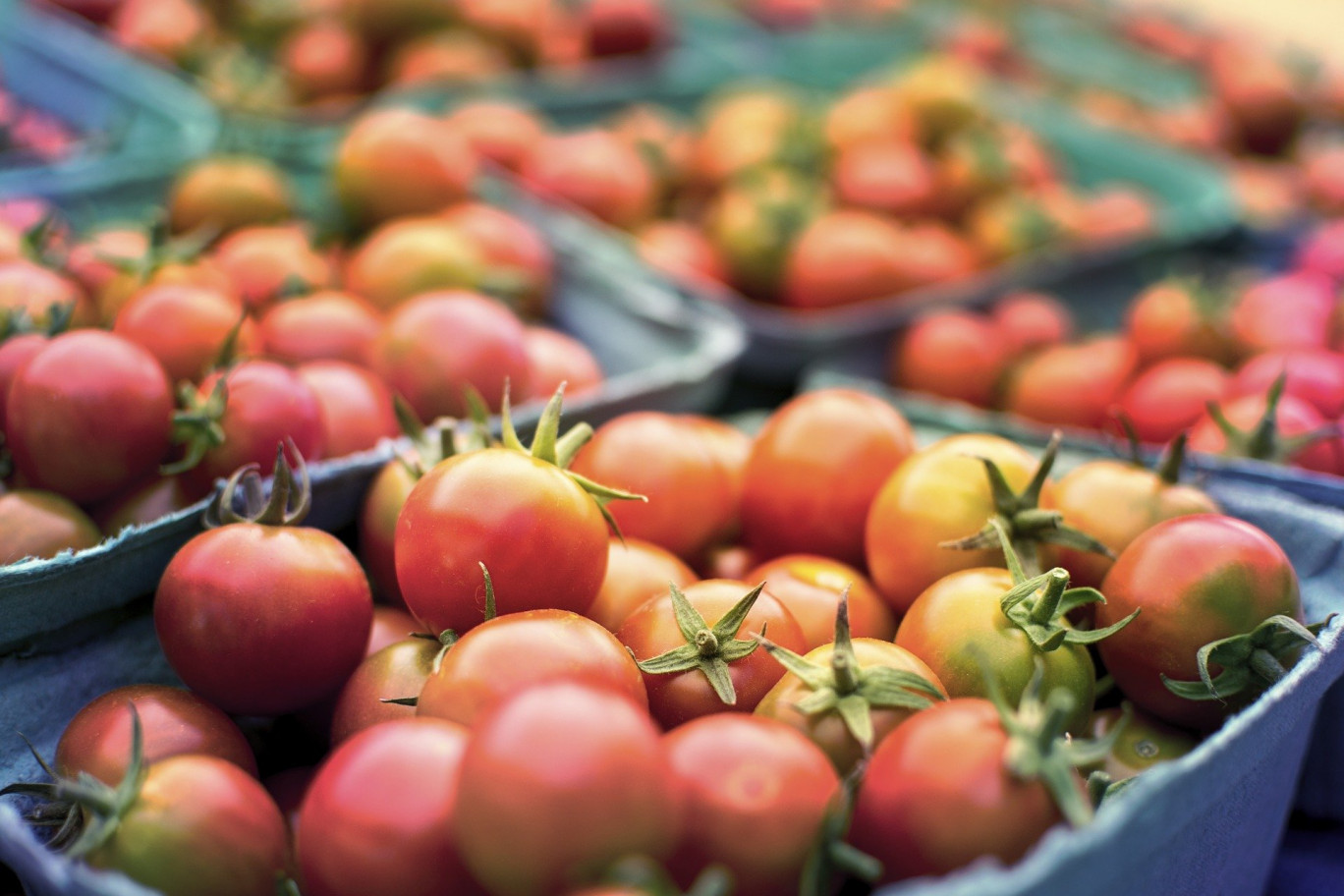 Paray-le-Monial : un véritable succès du marché des producteurs locaux