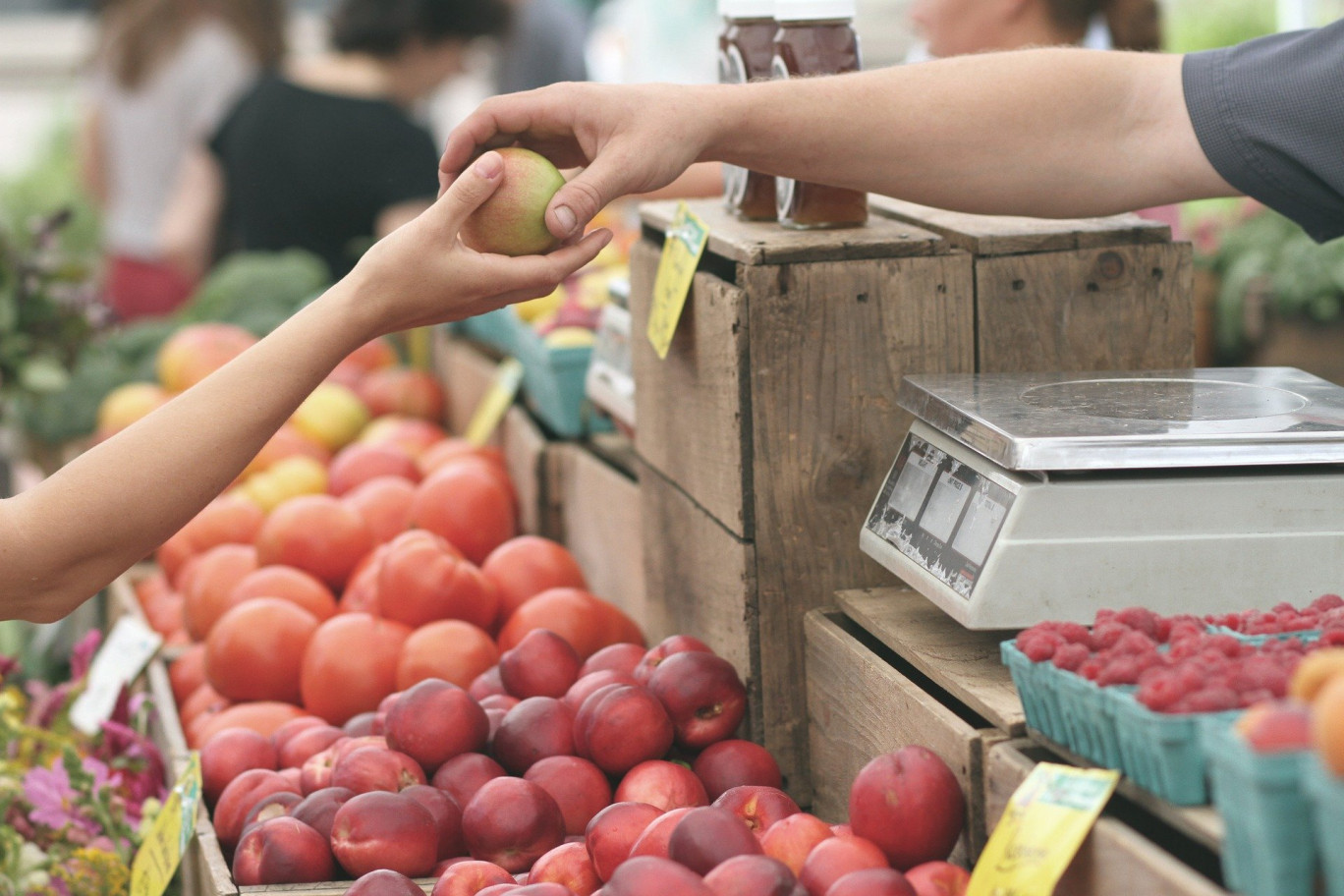 Un marché de producteurs se tiendra mensuellement dans la commune de Couches