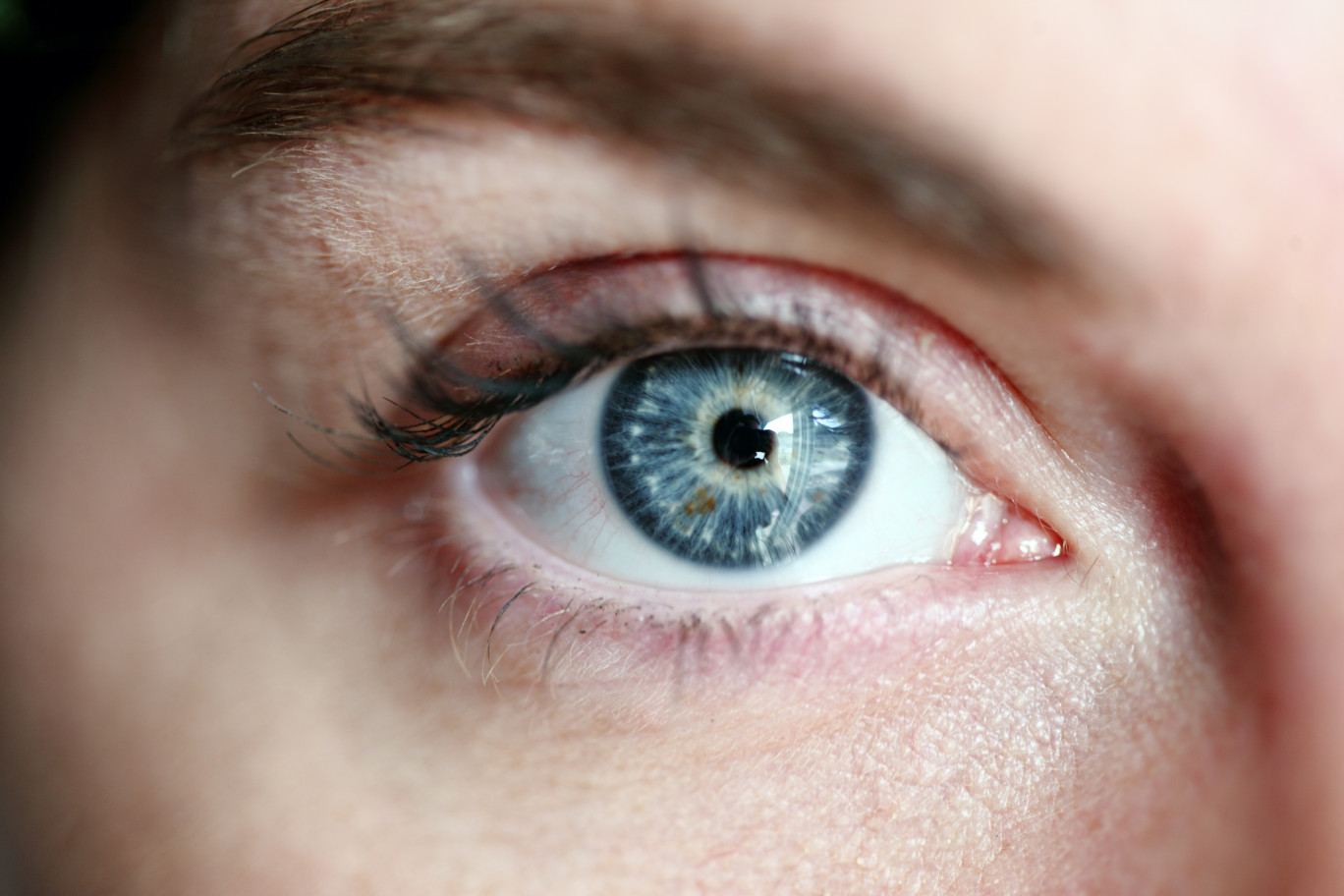Grâce à l’intelligence artificielle, ISlit souhaite bousculer mais aussi faciliter l’ophtalmologie. (© Pixabay / Sharon McCutcheon)