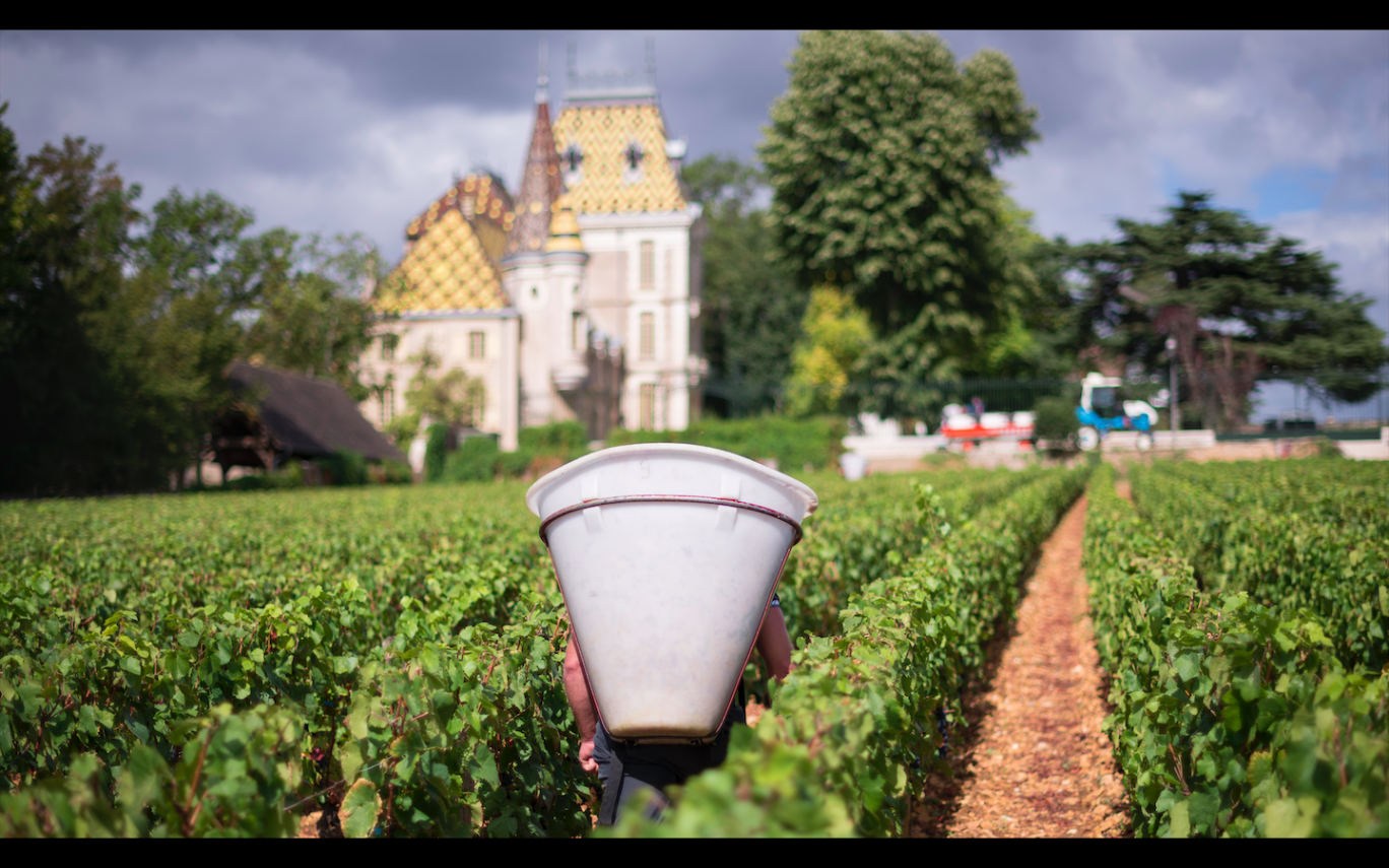 Bénéficiant d’une excellente réputation partout dans le monde, les vins de Bourgogne restent plébiscités, notamment à l’export. (© BIVB)