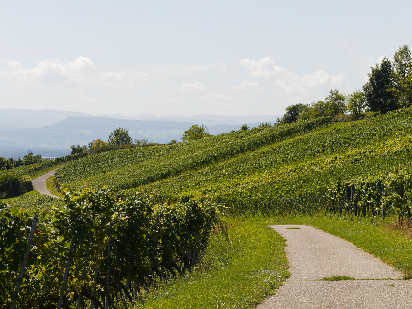 Les célèbres vignobles de Bourgogne et toute la région sont mis à l'honneur par le guide Lonely Planet. (© Pixabay)