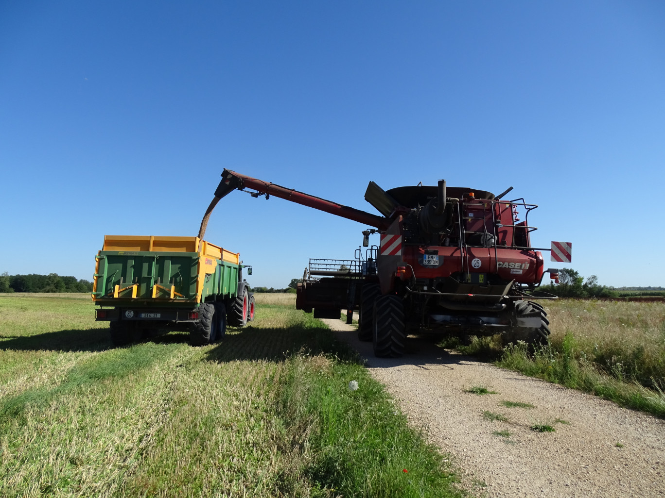 Dans le sud de la Côte-d’Or, les agriculteurs ont dû faire face à la sécheresse et à la grêle, avec des rendements plus faibles qu’à l’accoutumée. (© Aletheia Press / Nadège Hubert)