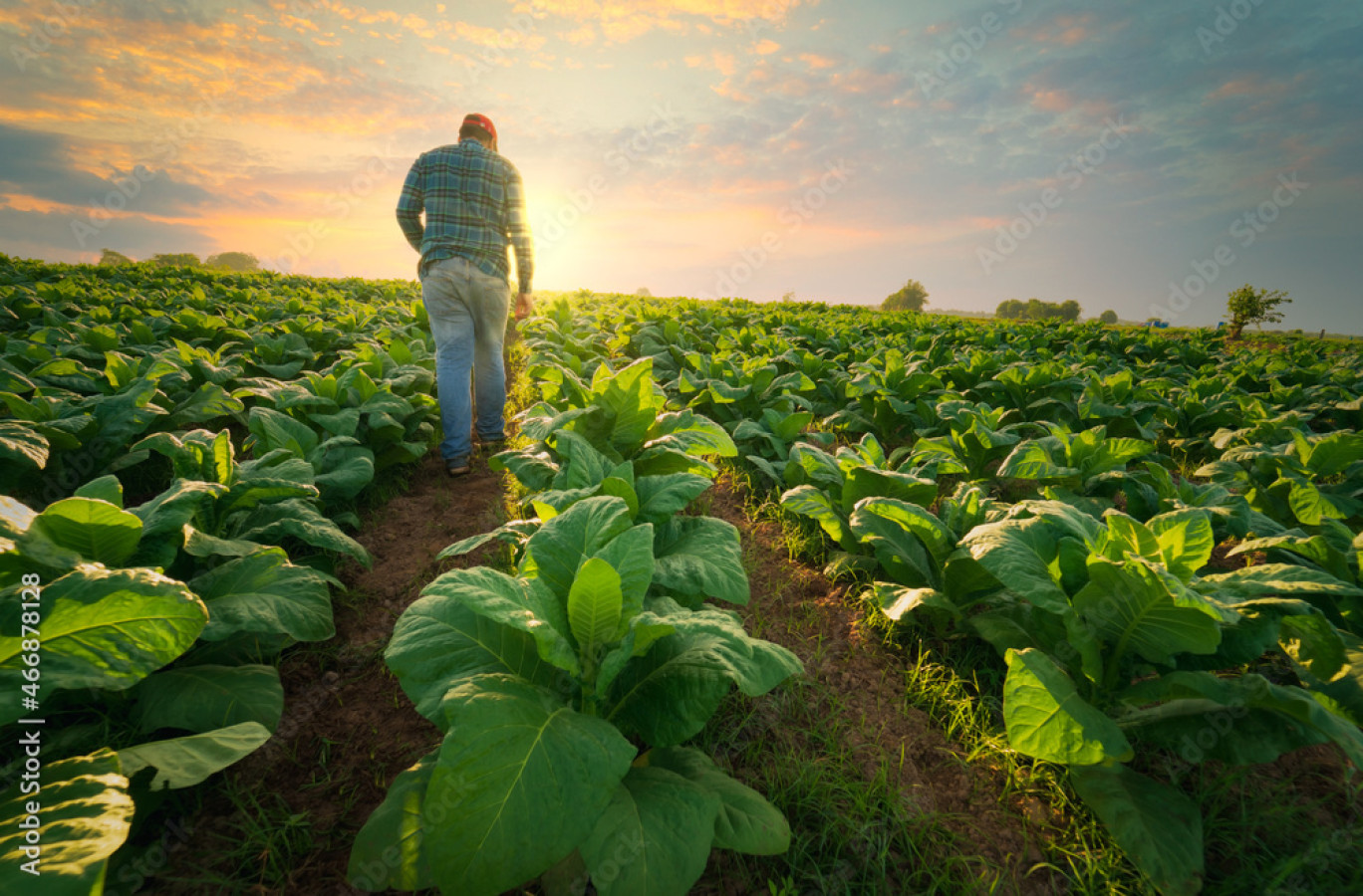 Le secteur agroalimentaire en alerte