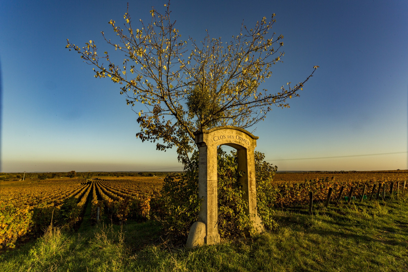 Beaune : Maison des Climats renforce son offre post-covid