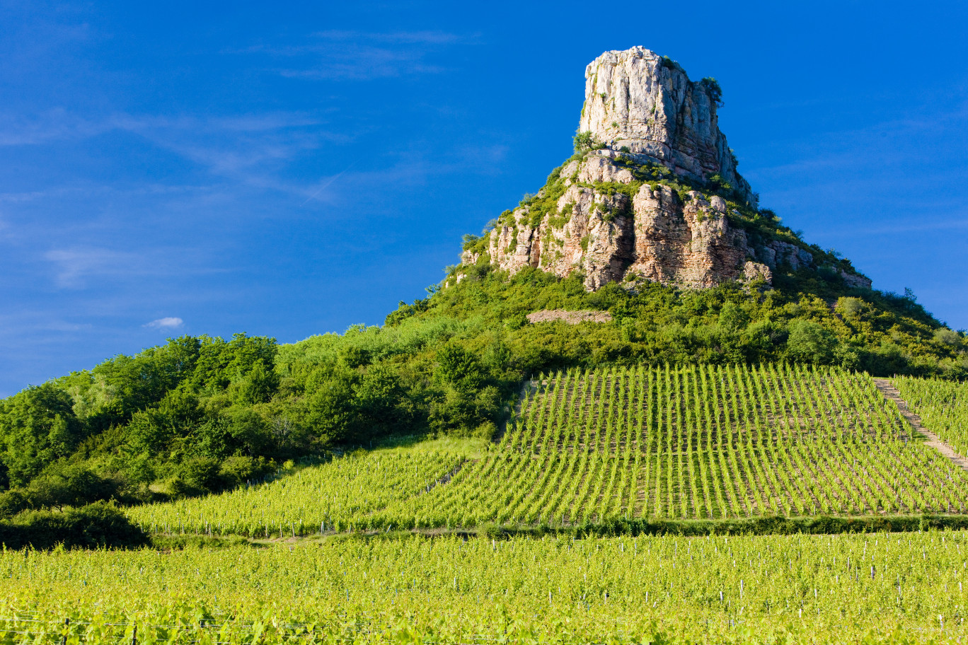 Le label « Grand site de France » renouvelé pour « Solutré-Pouilly-Vergisson »