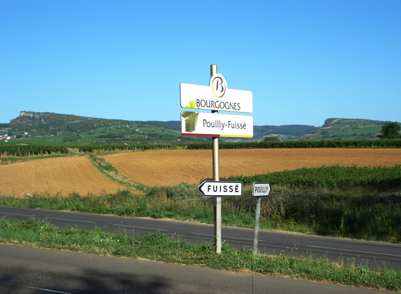 L’AOP « Pouilly-Fuissé » regroupe, dans son ensemble, 350 vignerons et une production globale 40 000 hectolitres. (ODG de l’appellation Pouilly-Fuissé)
